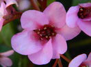 DSCN2605