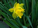 DSCN2606