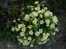 DSCN2638