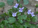 DSCN2689