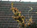 DSCN2697