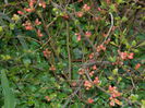 DSCN2699