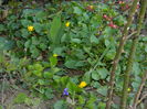 DSCN2709