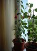DSCF4759