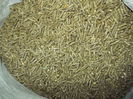 granule productie proprie