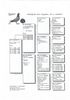 RO-2267847-2011-M-Pedigree