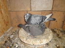 Picture 001