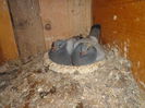 Picture 014