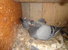 Picture 023