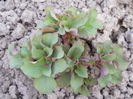 DSCN3812