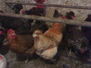 270320153670