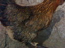 270320153698