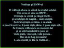 vrabiuta si bmw-ul