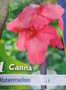 SAM_3631