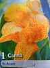 SAM_3627