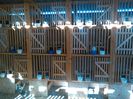 IMG_20150321_162656