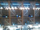 IMG_20150321_162700