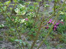 DSCN2572