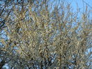 DSCN2584
