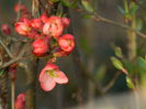 DSCN2606