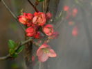 DSCN2607
