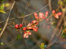 DSCN2608