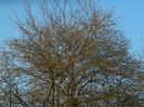 DSCN2610