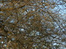 DSCN2611