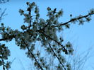 DSCN2624