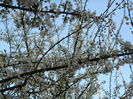 DSCN2625