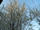 DSCN2626
