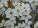 DSCN2627