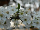 DSCN2628