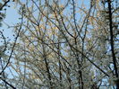 DSCN2629