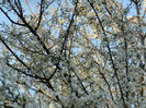 DSCN2632