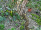 DSCN2662