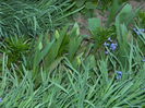 DSCN2694