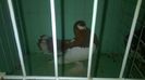 WP_20140806_294