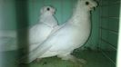 WP_20140806_207
