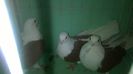 WP_20140806_130