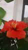 20150328_173815