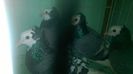 WP_20140806_117