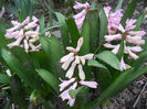 DSCN3830