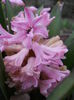 DSCN3832