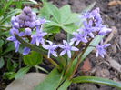 DSCN3834