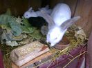 Foto3485