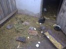 Foto3614