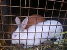 Foto3705