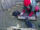 Foto3711