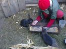 Foto3712